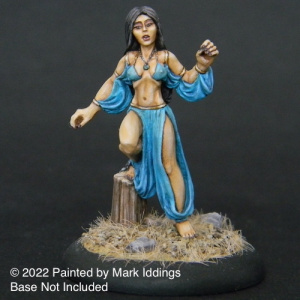 Slaver and Captive Princess